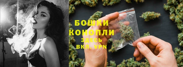 мяу мяу кристалл Няндома