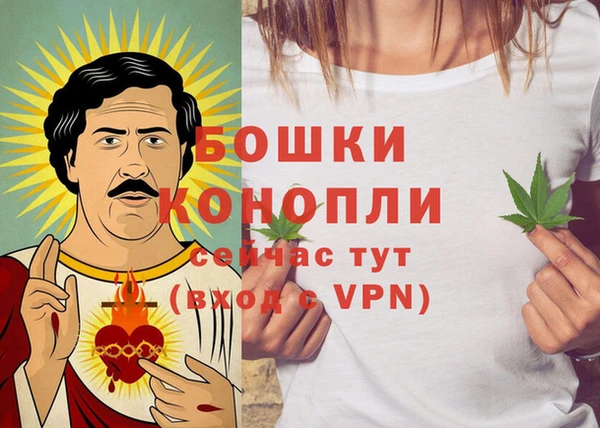мяу мяу кристалл Няндома
