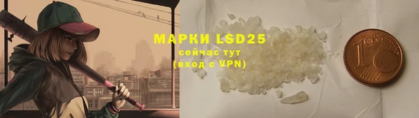 2c-b Гусев